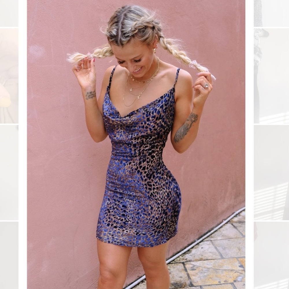 Meggan Grubb Navy Leopard Cowl Neck Devoré Mini Dress